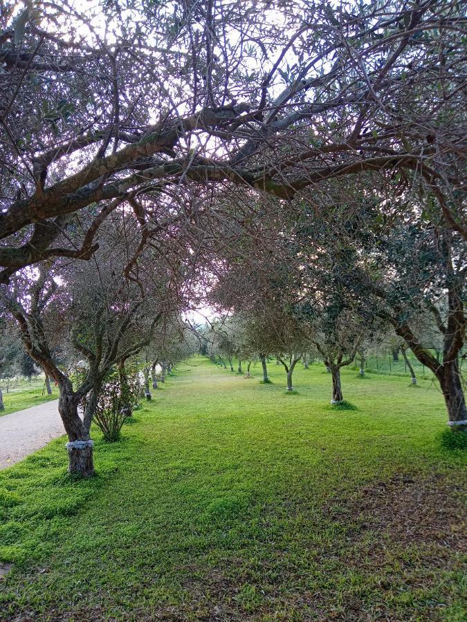 Il Poggetto Marzamemi B&B Eksteriør bilde